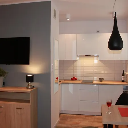 Apartament Kamienna Gora